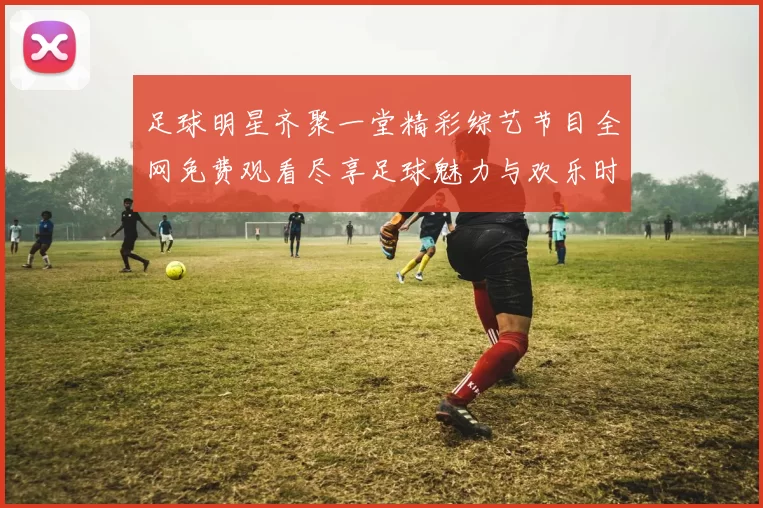 足球明星齐聚一堂精彩综艺节目全网免费观看尽享足球魅力与欢乐时光