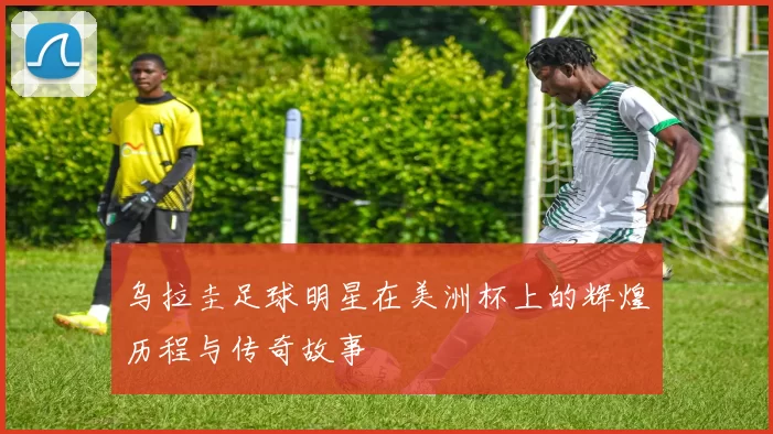 乌拉圭足球明星在美洲杯上的辉煌历程与传奇故事