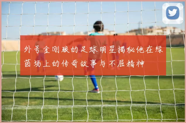 外号金刚狼的足球明星揭秘他在绿茵场上的传奇故事与不屈精神