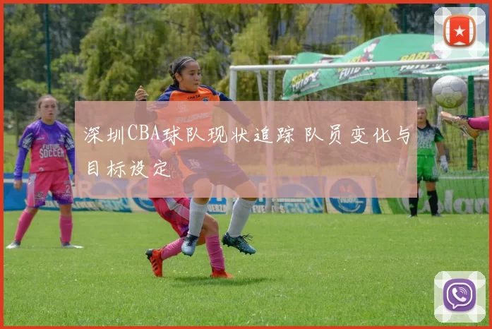 深圳CBA球队现状追踪 队员变化与目标设定