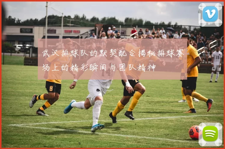武汉排球队的默契配合揭秘排球赛场上的精彩瞬间与团队精神