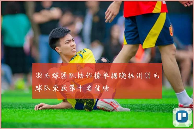 羽毛球团队协作榜单揭晓杭州羽毛球队荣获第十名佳绩