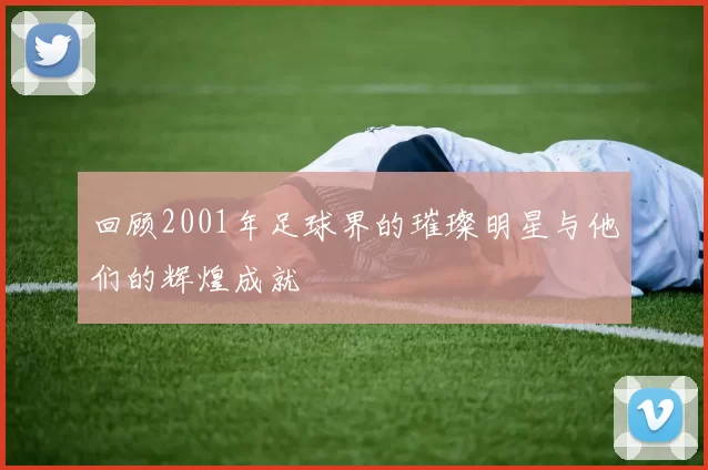 回顾2001年足球界的璀璨明星与他们的辉煌成就