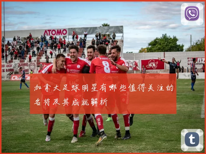 加拿大足球明星有哪些值得关注的名将及其成就解析