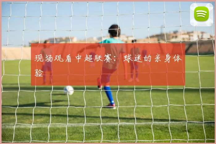 现场观看中超联赛：球迷的亲身体验