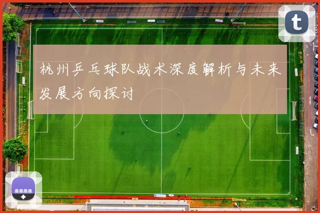 杭州乒乓球队战术深度解析与未来发展方向探讨